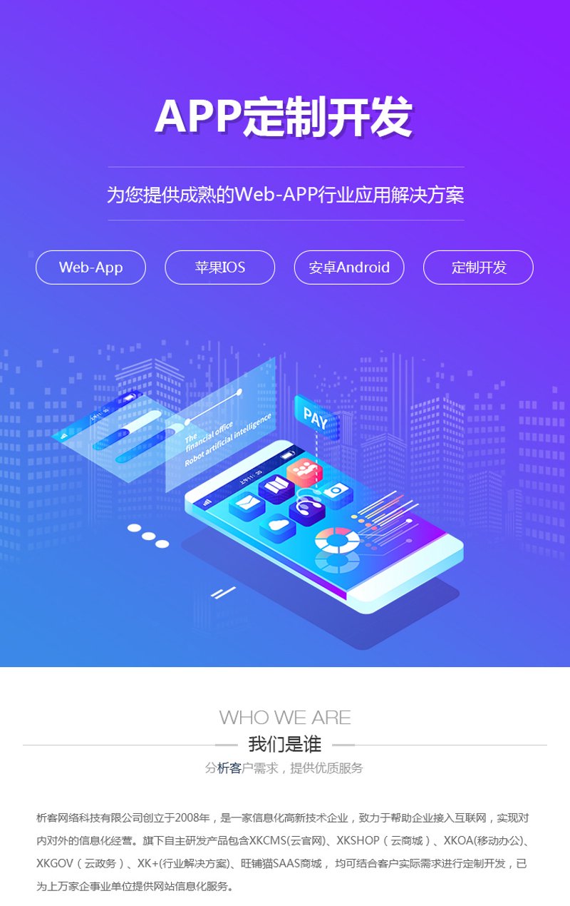 APP定制：打造专属应用的过程与考量